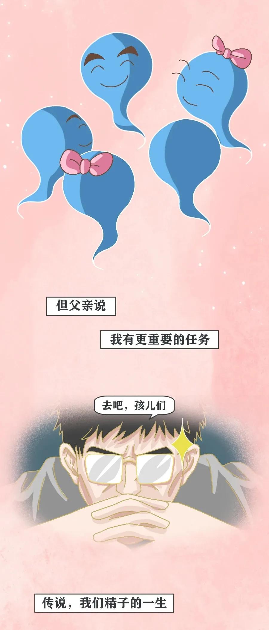 精子进入人体12小时变化,精子着床后身体变化