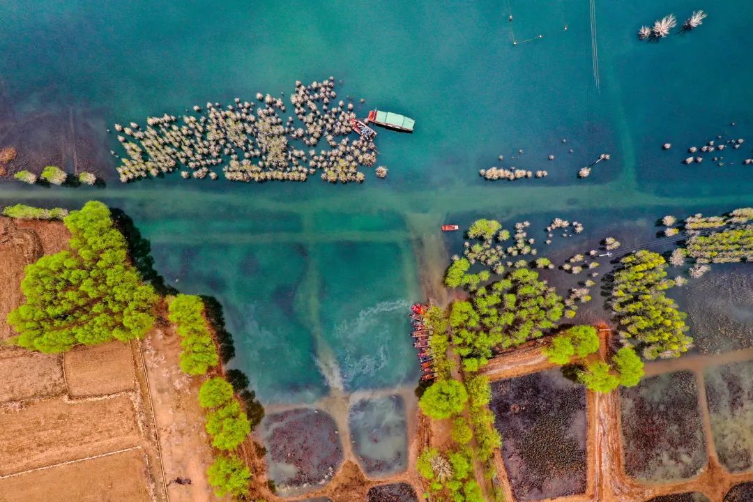 迎接党的20大美术作品,喜迎二十大乡村摄影展