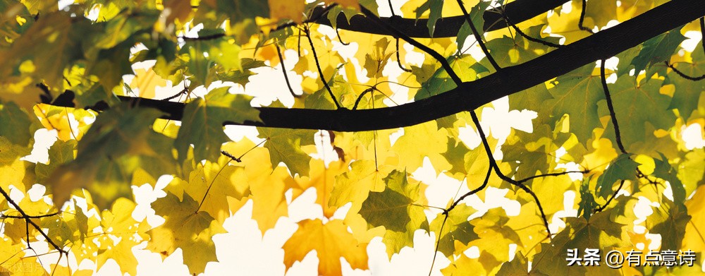 2022年逝去的14位名人,2021年离开的5位名人