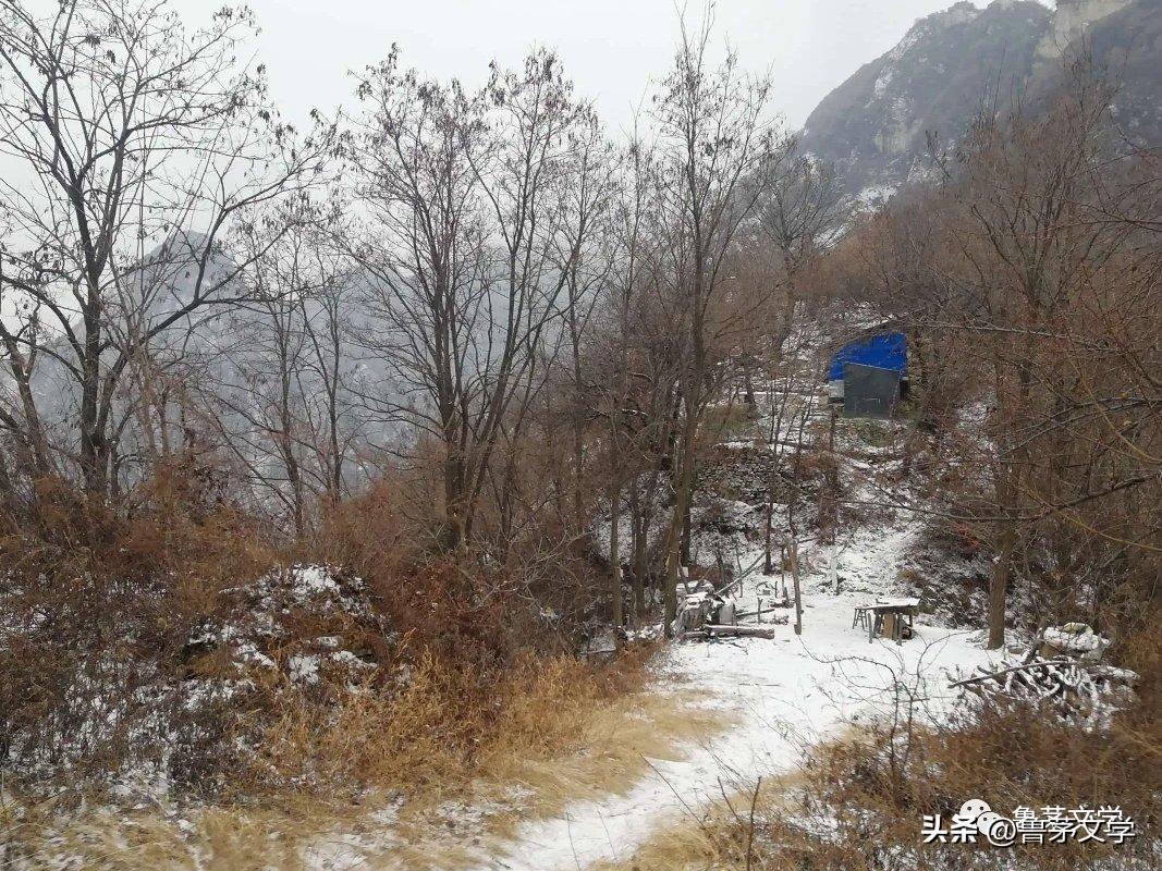 散文作家苏沧桑,冬酿散文