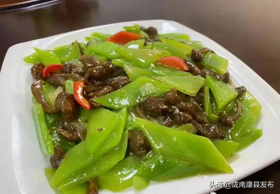 康养旅居风景区,康县康养小镇