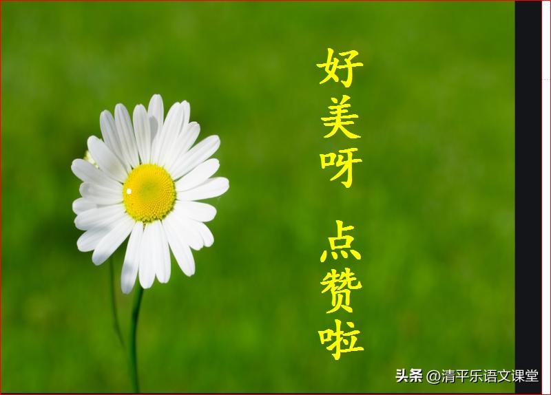 2023中考作文题目大全,2023中考话题作文猜题