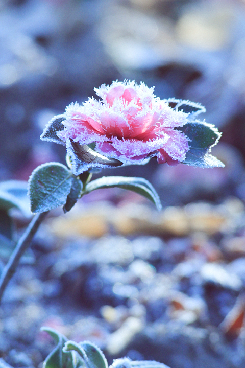 人生在世的经典美文,人生在世最美的美文