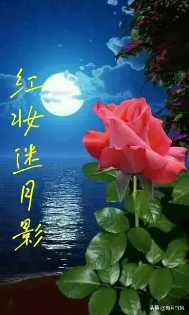 宁静的夜晚我也思念你,宁静的夜晚费翔