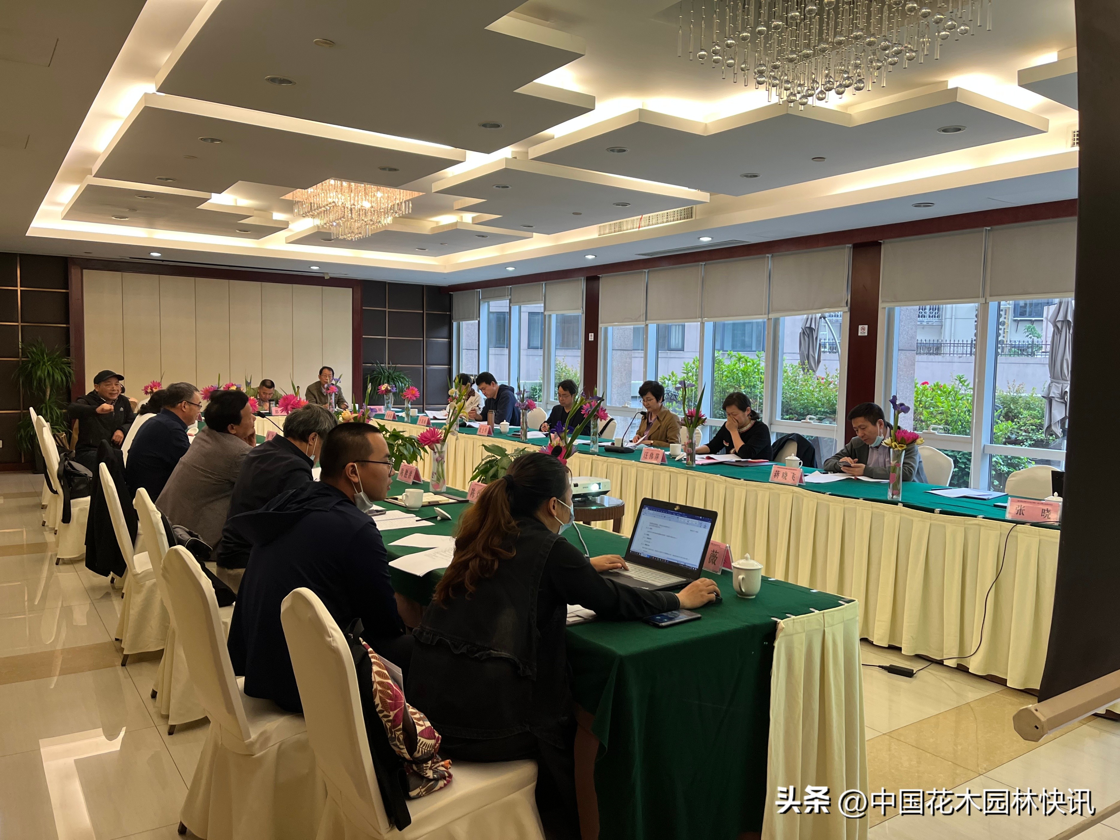 耐寒睡莲详细家庭种植方法,睡莲的越冬管理技术