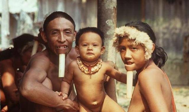 月亮之子图片,佐埃人为什么下巴要插木棍