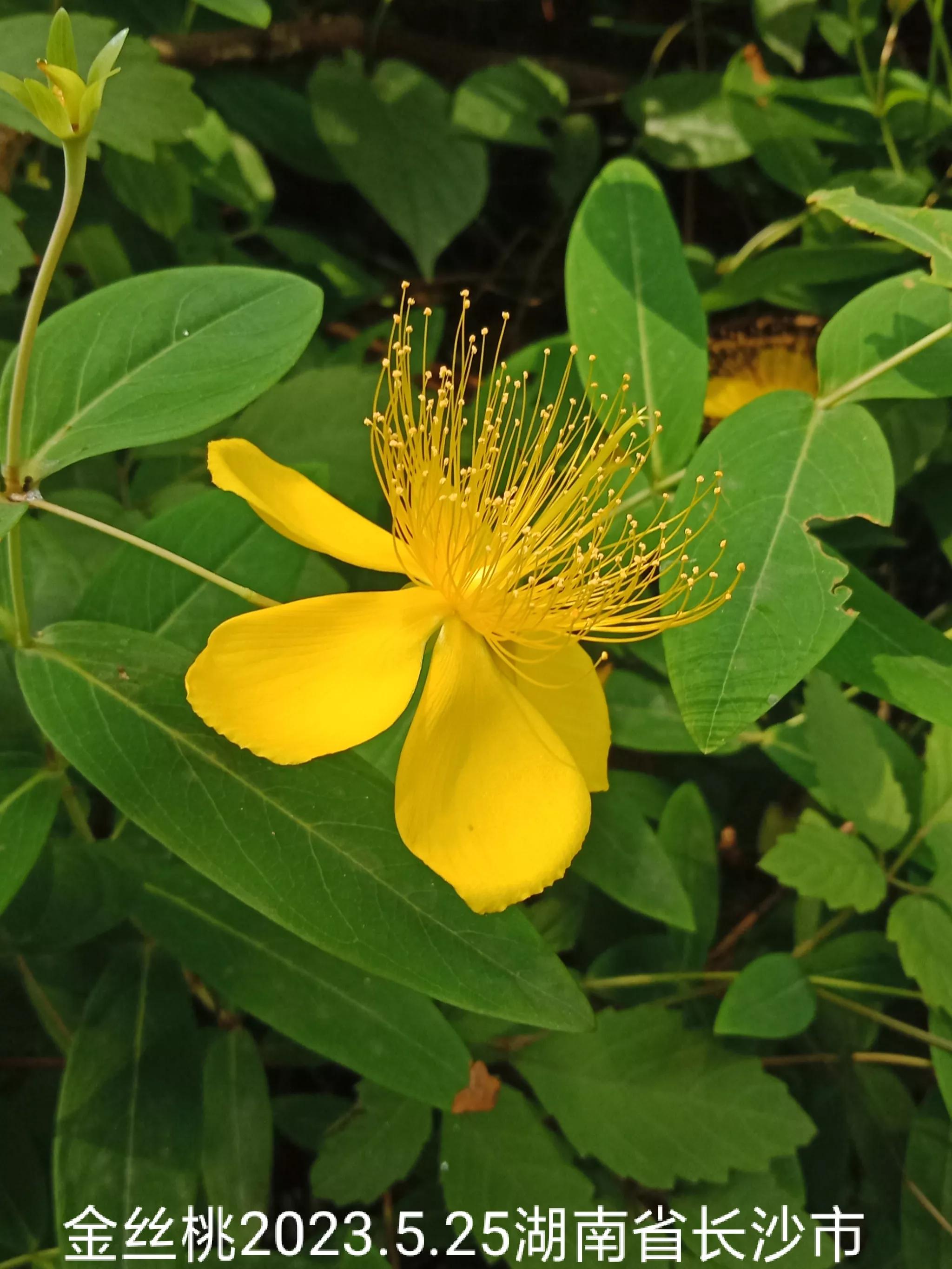 微信群忘保存找不到怎么办,怎么保存微信群里面的人