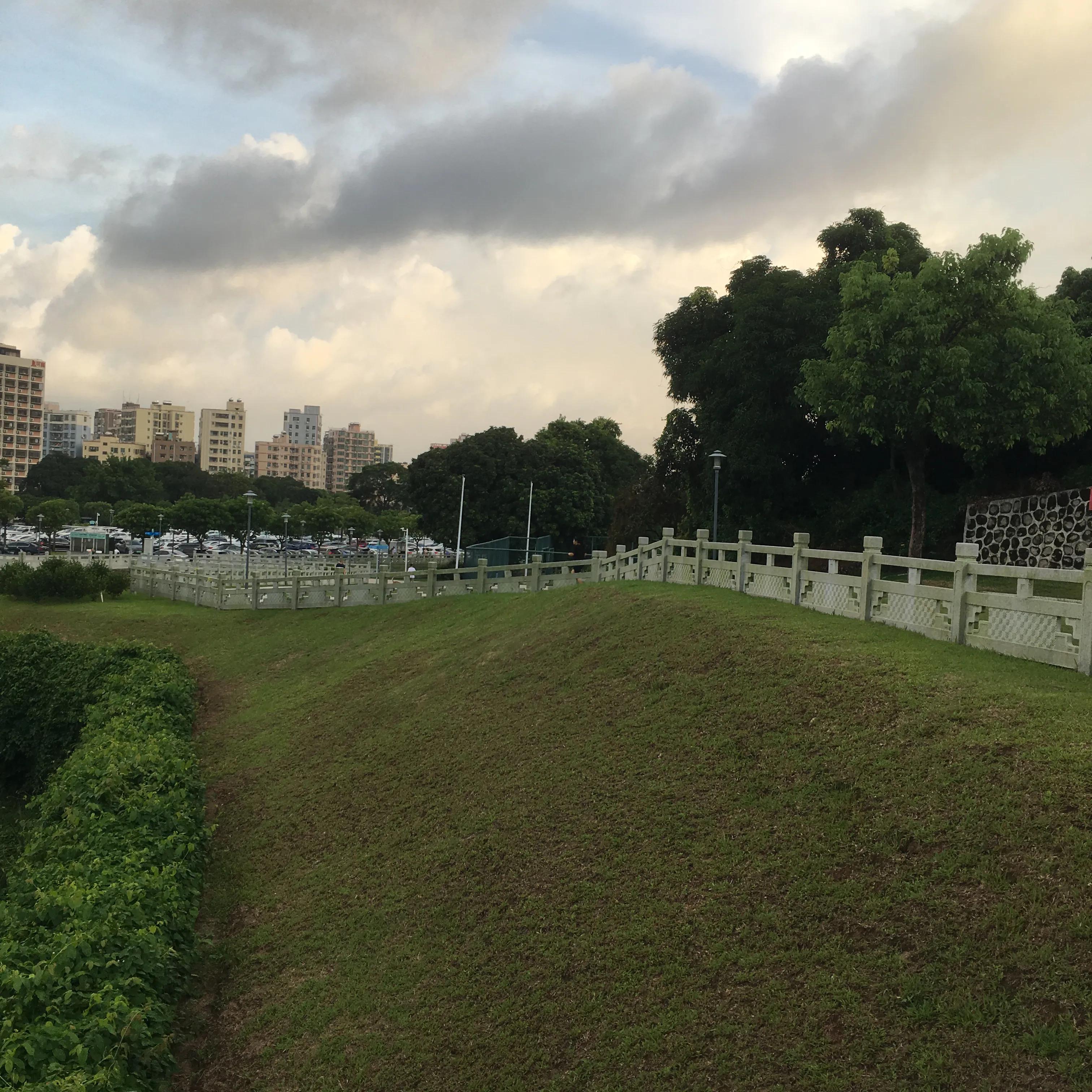 纯种银狐犬出售,纯种银狐犬照片