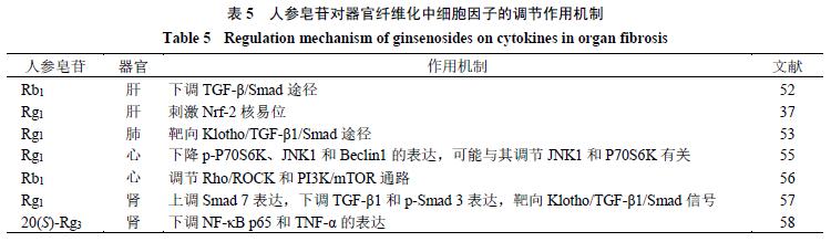 人参皂苷抗器官纤维化
