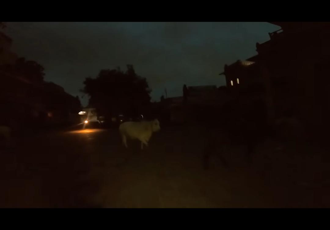 韩国女子单独在印度旅行，被男子跟踪性骚扰，掏生殖器还猥琐微笑