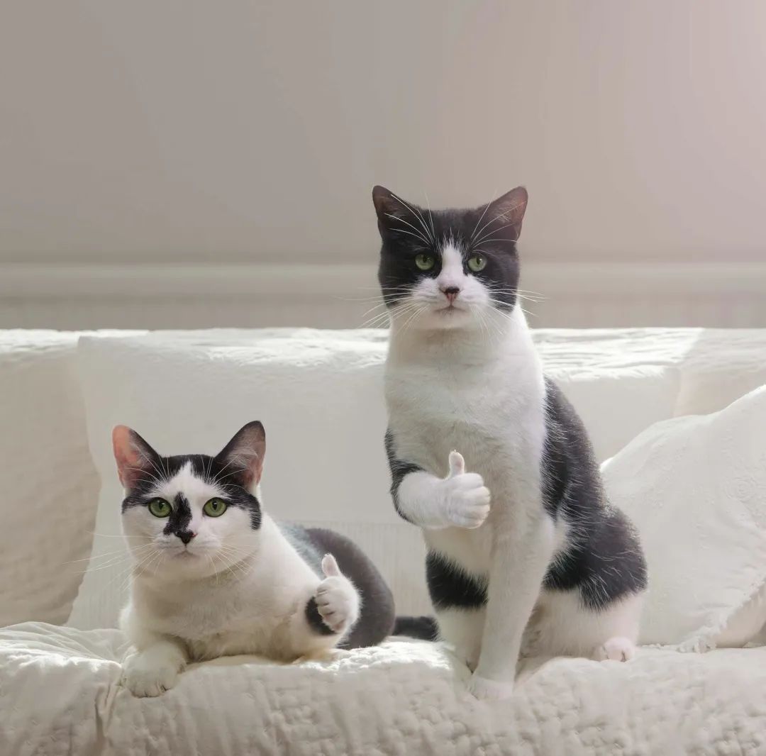 四川省国家级示范中职名单,四川省职校排行榜前10名