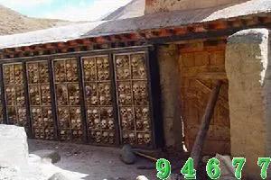 带你看世界奇闻异事,世界奇闻百态