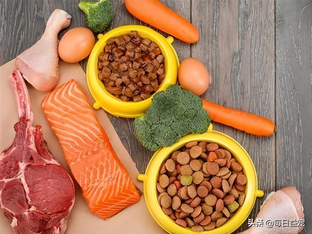 狗狗发烧怎么治疗最快最有效,狗狗发烧后腿站不起来是怎么回事