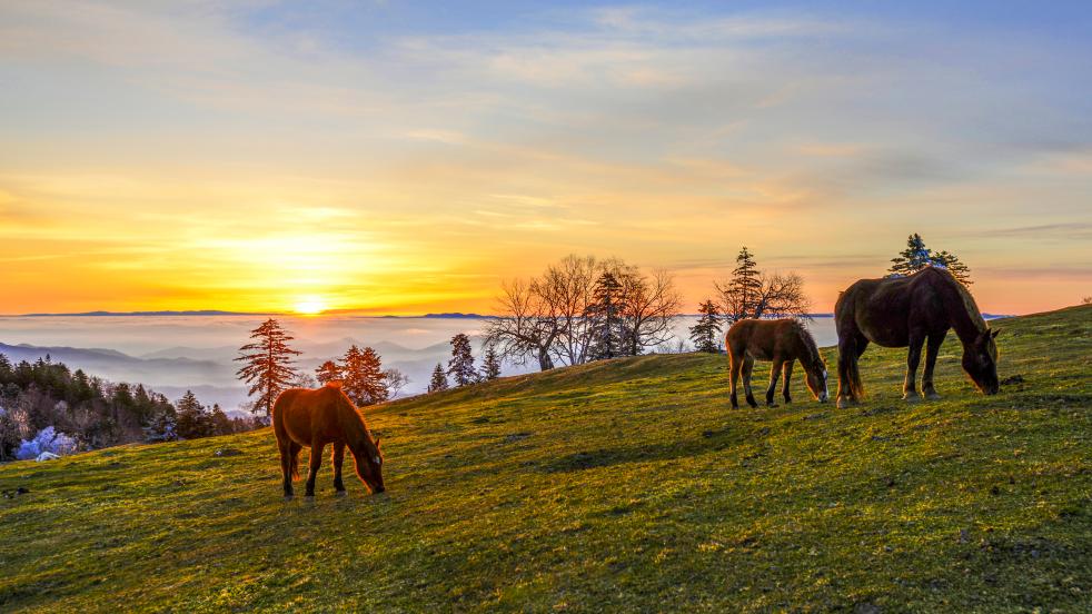 白山市出发五一2-3天短途旅游推荐,冬季白山周边一日游景点大全