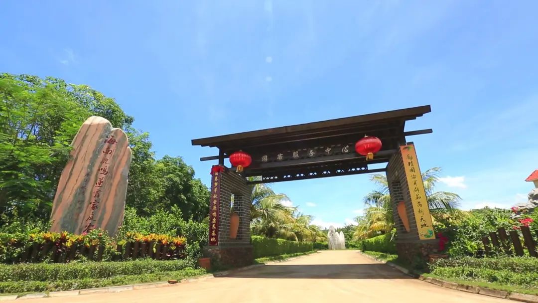 六一去哪里玩最好市区,六一温江遛娃好去处