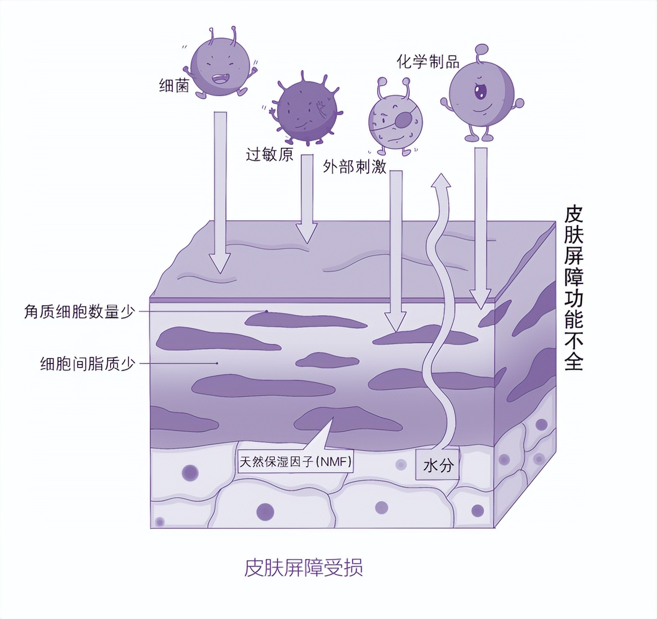 婴儿湿疹的症状和表现怎么治疗,婴儿湿疹的原因及处理方法