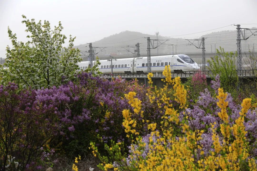 坐上火车领略东北田园,坐上高铁奔向远方