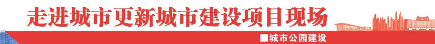 城市道路提升改造施工,城市更新浮山公园建设