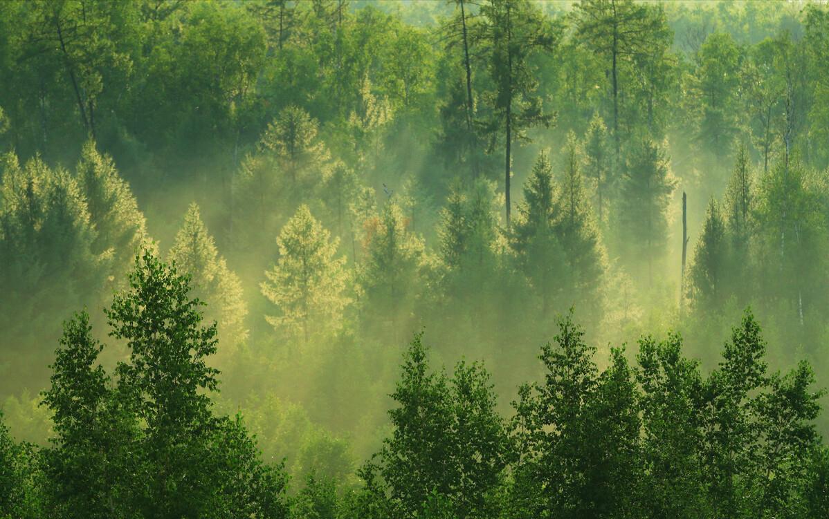 引人不适的蟑螂,让人细思极恐的蟑螂