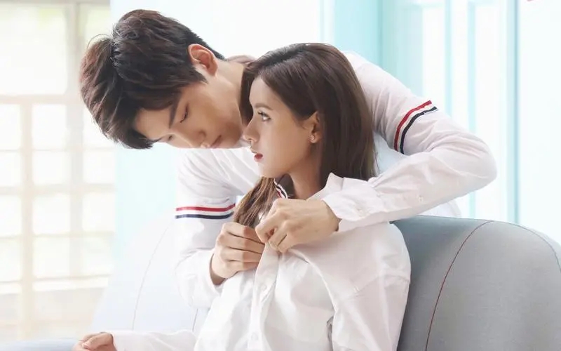 猫的树拍过的青春校园剧,猫的树导演四部校园剧