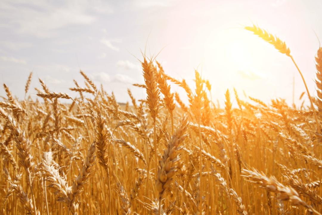 国土安全为主的国家安全教育,国家安全教育日国土安全