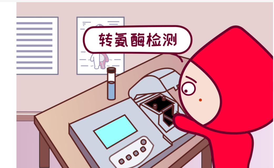 谷草转氨酶和谷丙转氨酶哪个难降,谷丙转氨酶与谷草转氨酶升高区别