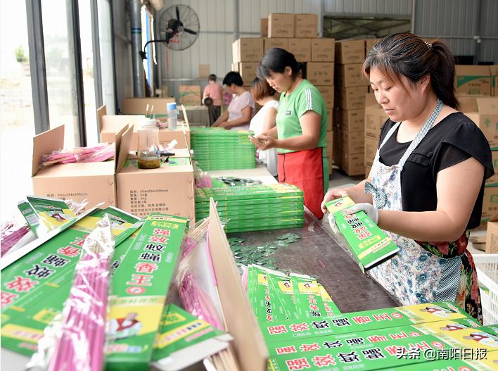 镇平党建引领乡村焕新颜,南阳市干部作风能力大提升行动