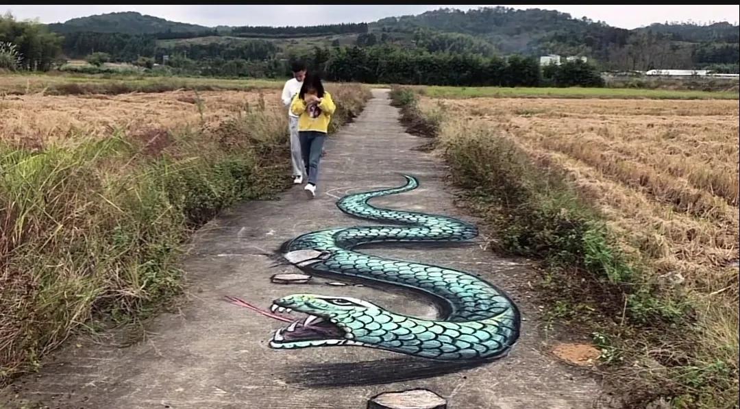 3D画让我对这个世界的真实性产生了怀疑，眼见为实未必是真的