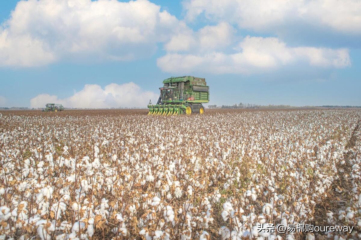 郑棉期货今日行情分析报告,郑棉减仓下跌短期延续调整态势