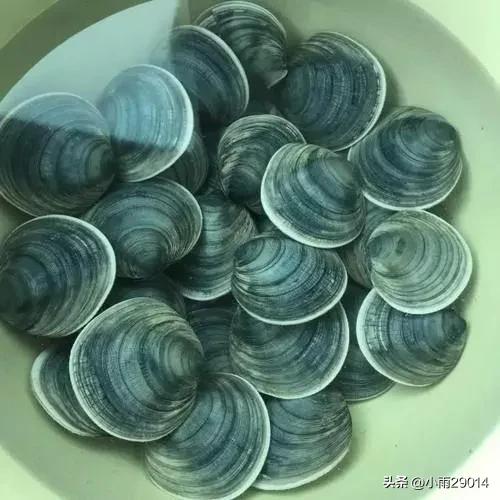 五一庄河亲子游,五一适合去的海边庄河