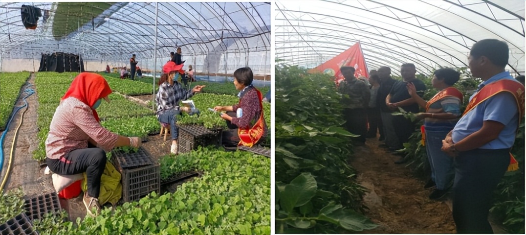 热爱科学崇尚科学宣传视频,热爱科学崇尚科技创新视频