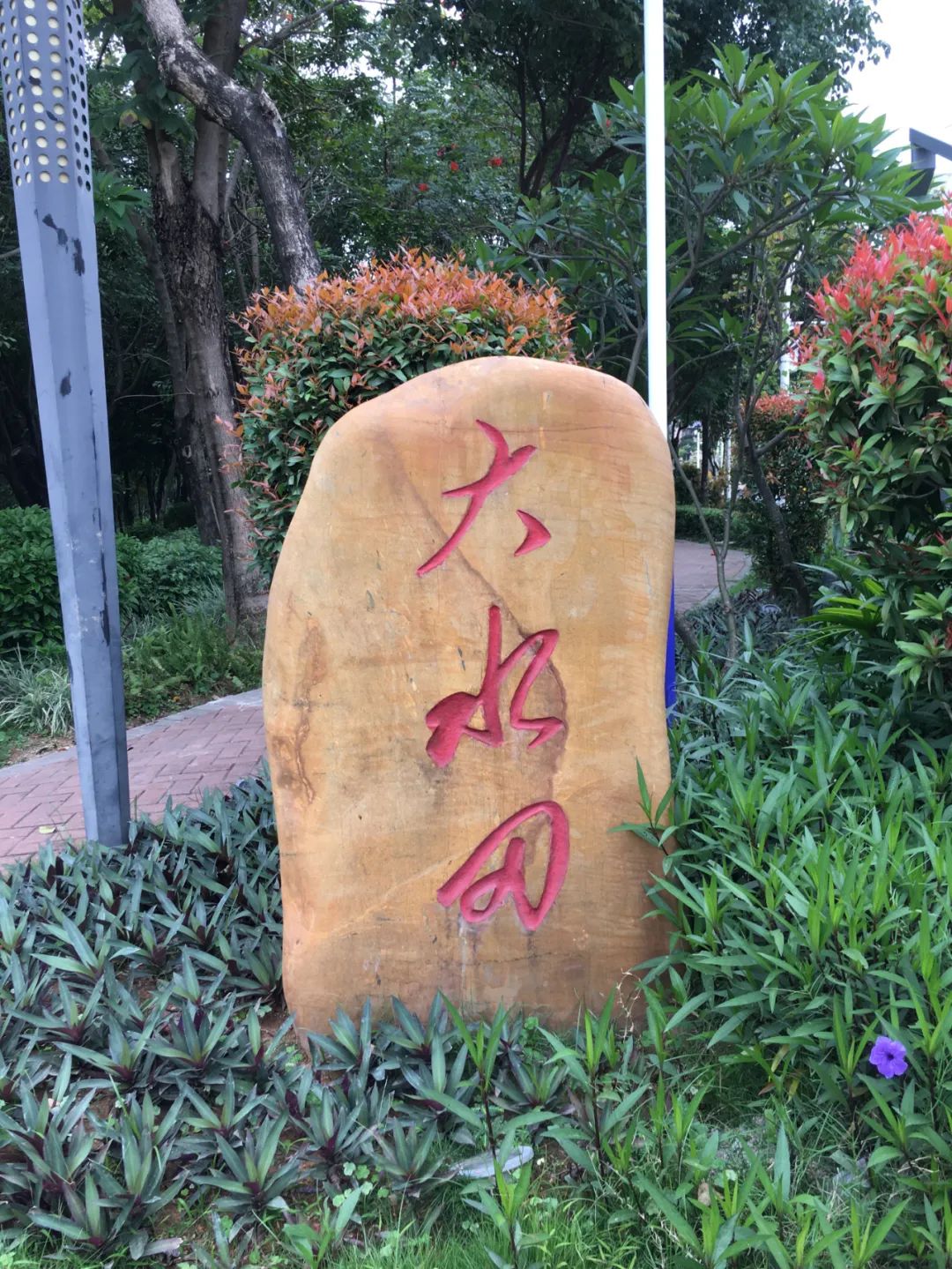 旭光电动车行,旭光车行向阳路