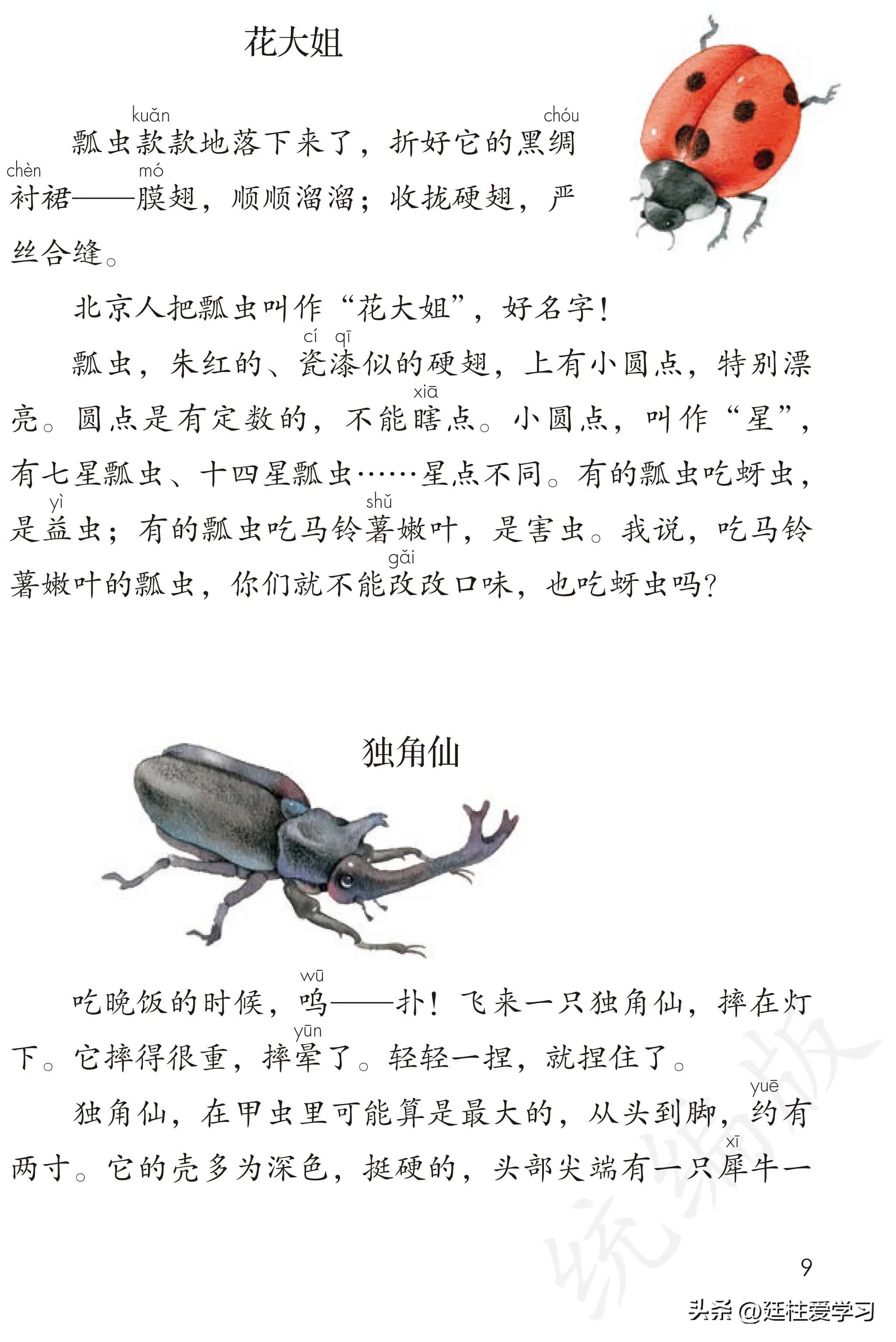 小学语文三年级下册电子版书,小学语文三年级下册知识点