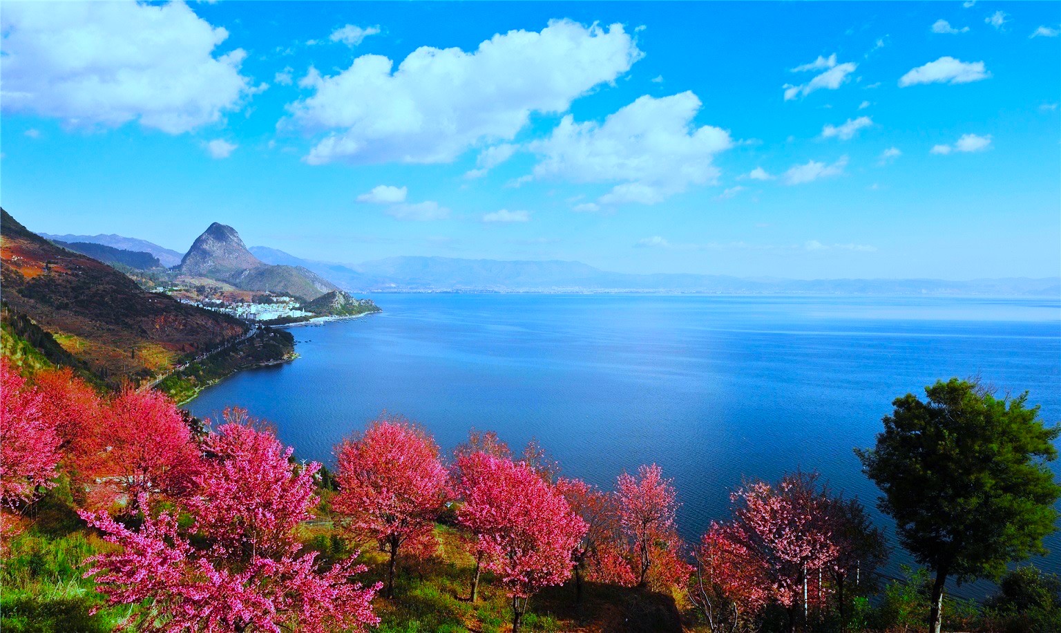 高原明珠“抚仙湖”的水，为什么可以直接喝？为什么这么清？