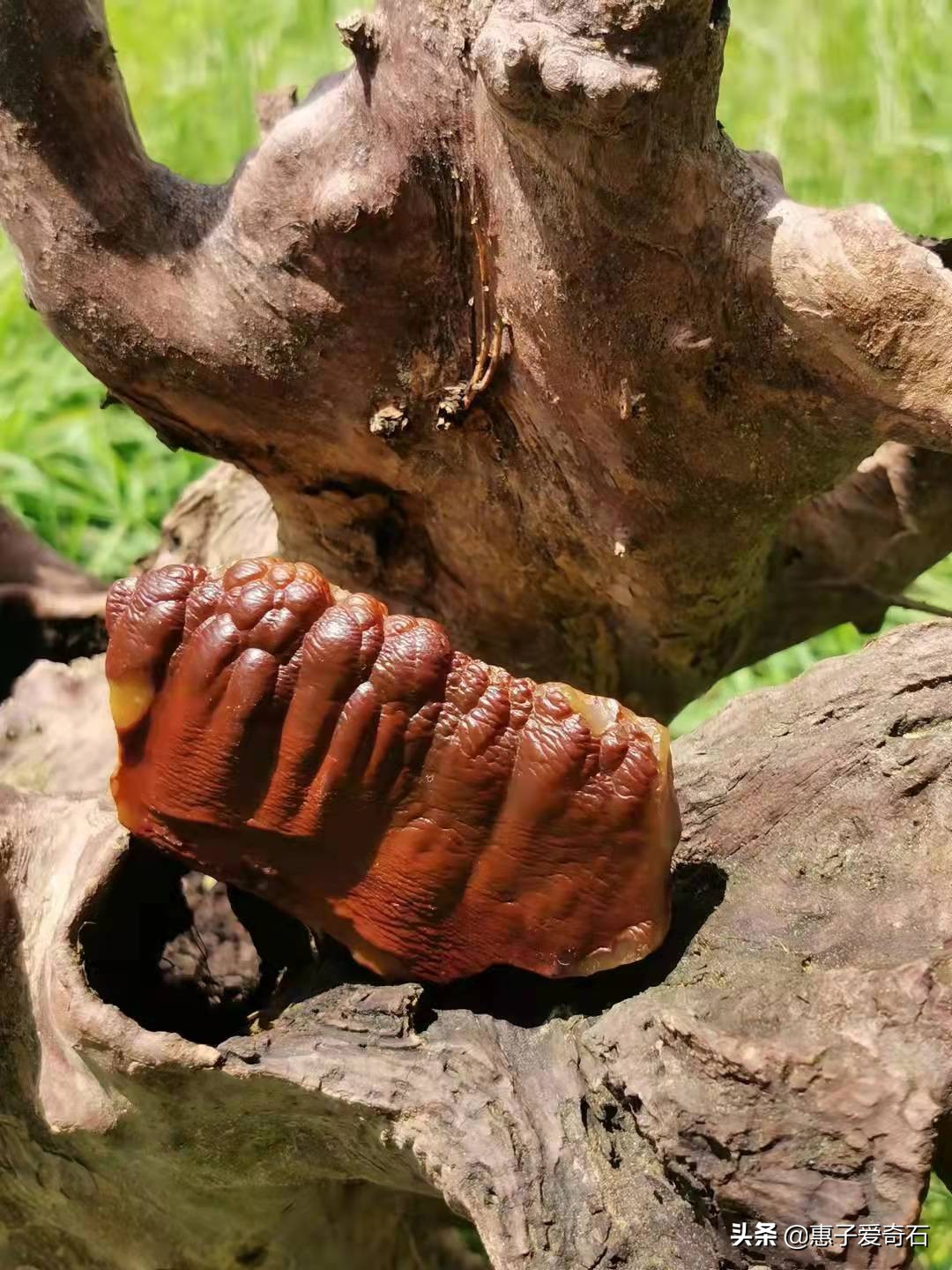 最值钱的黄蜡石奇石,黄蜡石奇石价值10万以上的