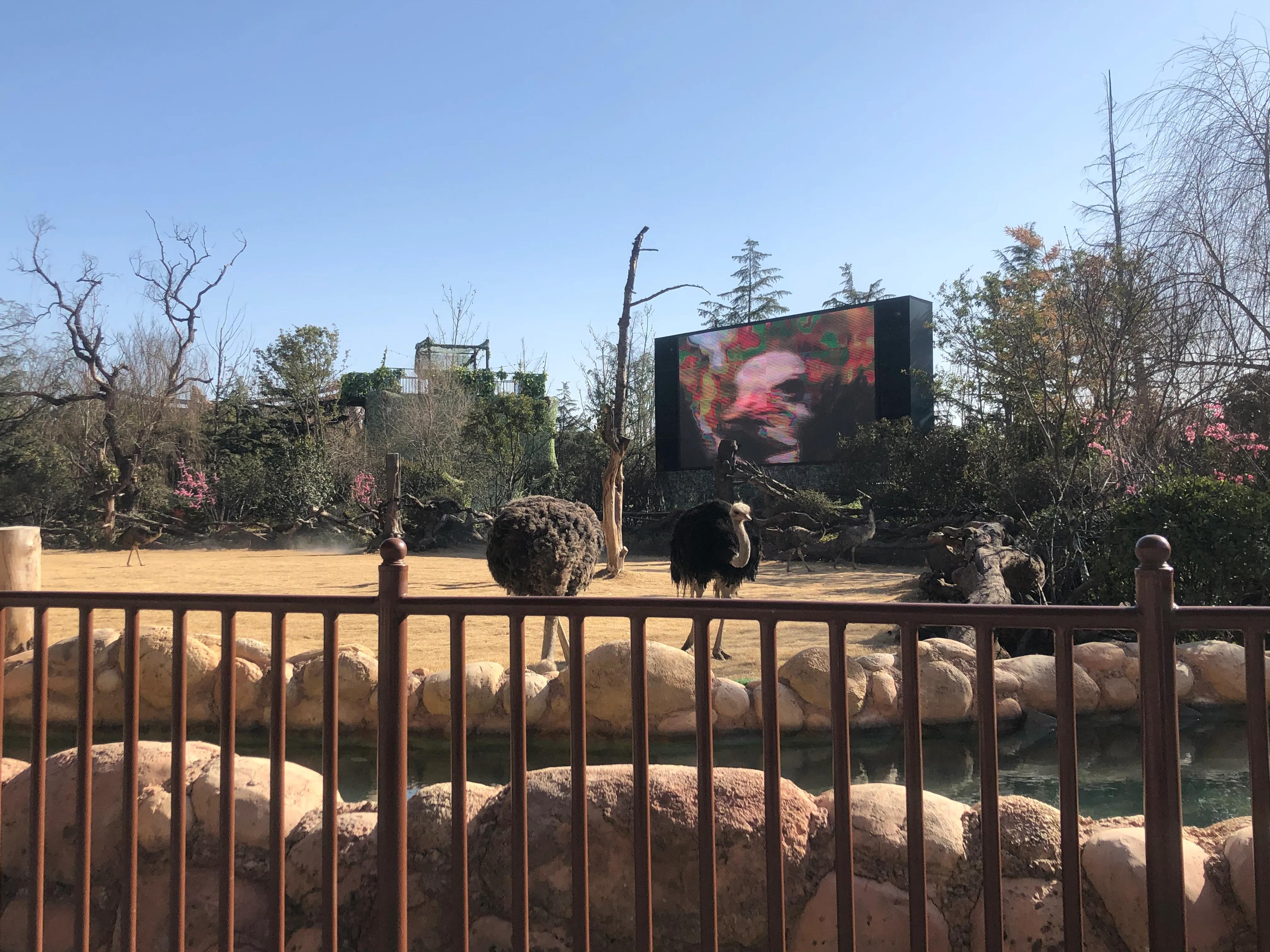 银基动物王国最强游玩攻略,银基动物王国游玩最详细攻略