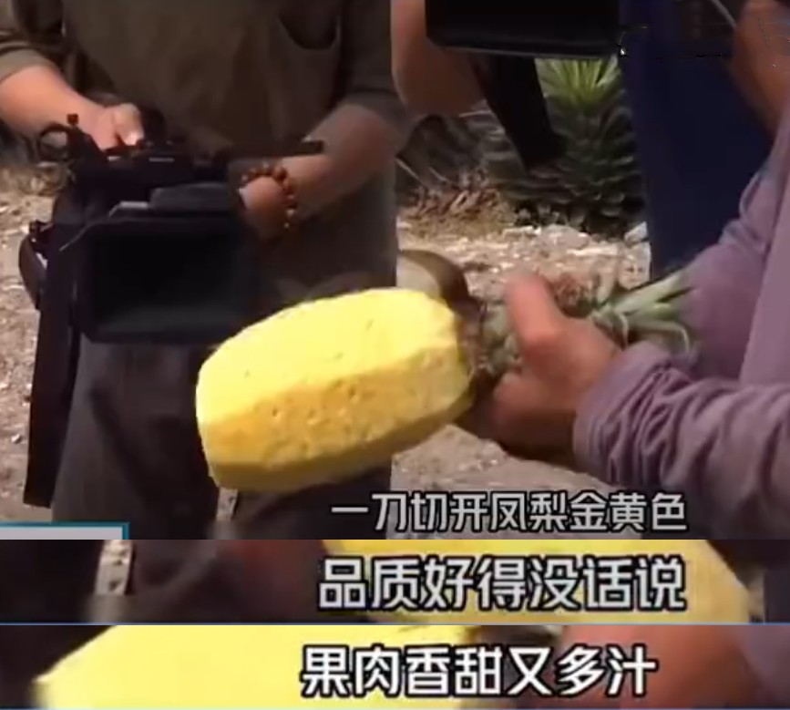 台湾水果商怒斥台当局,台湾凤梨果农斥蔡当局不要乱讲