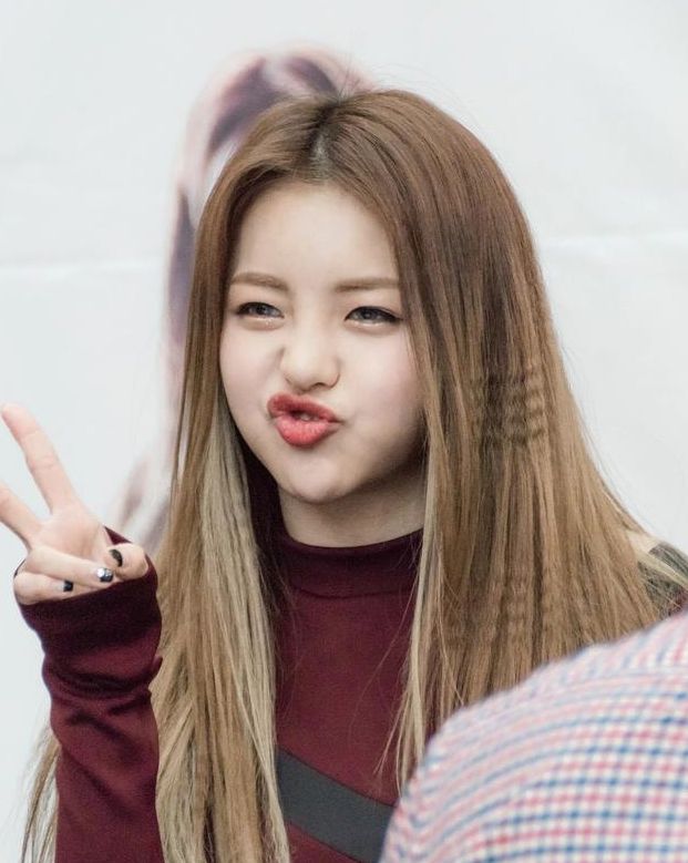 疫情下的明星百态,新冠疫情下的明星百态