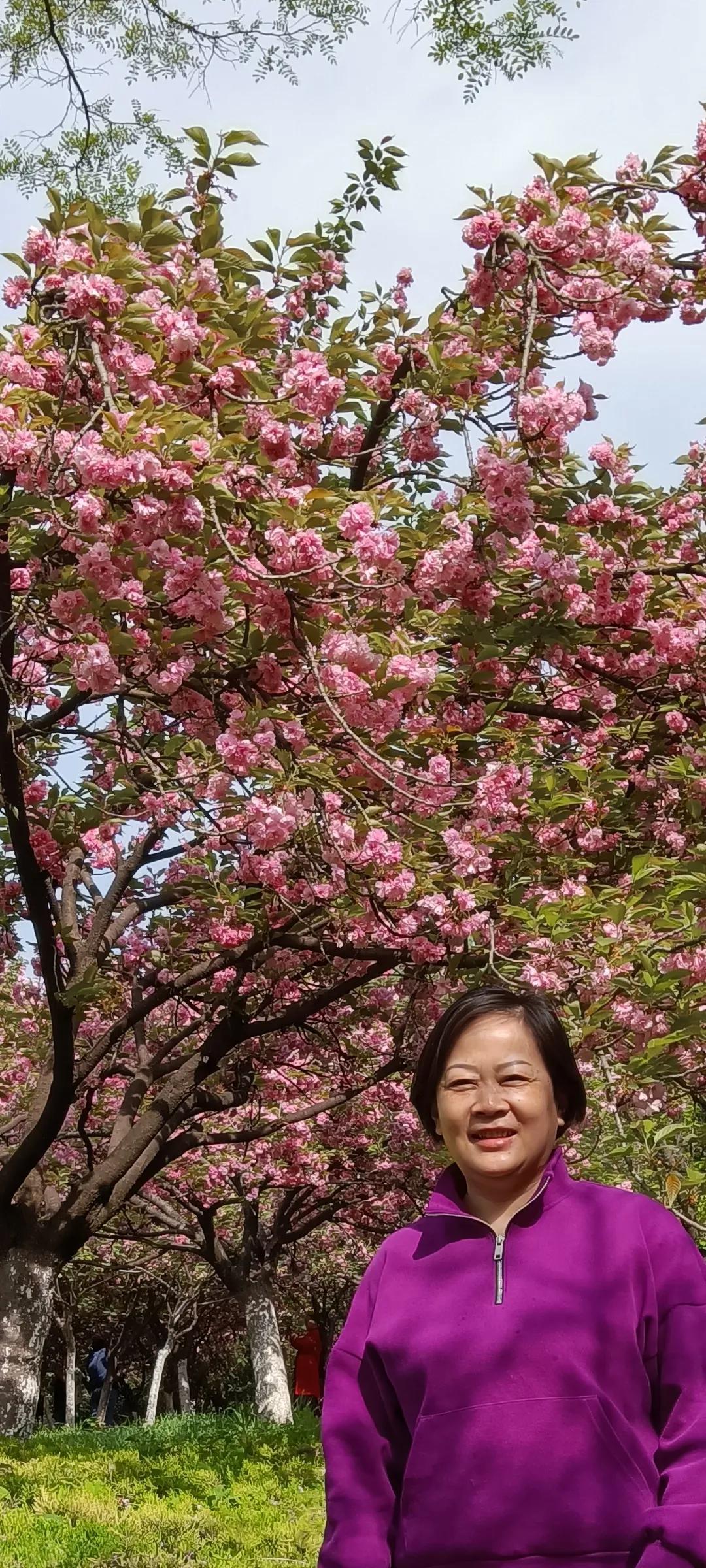 落英缤纷文章,有感于的意思