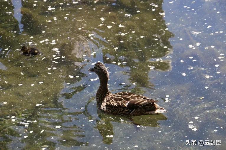 北京积水潭十大必去景点,北京积水潭游玩