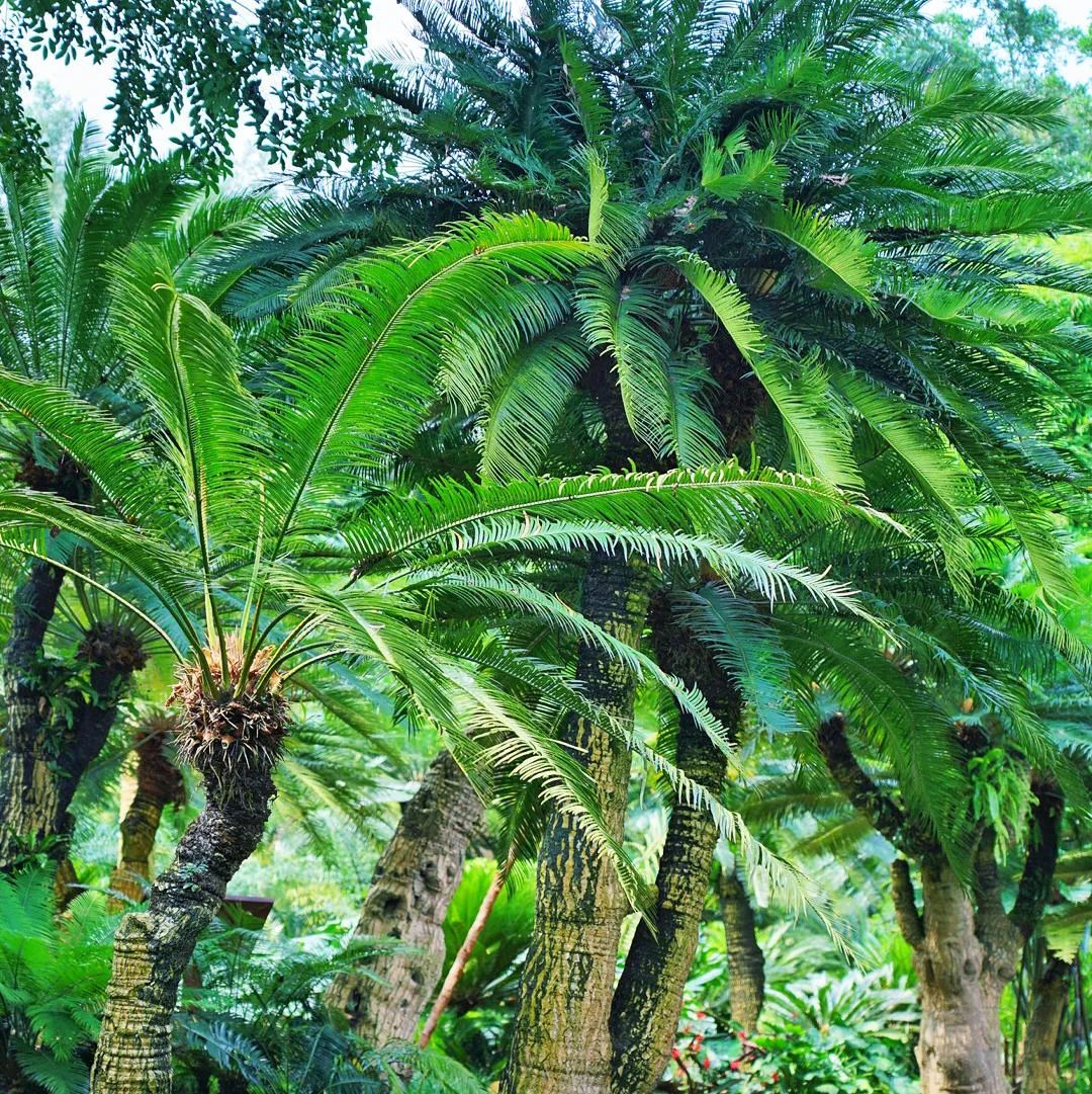 地理冷知识广西,广西南宁冷知识