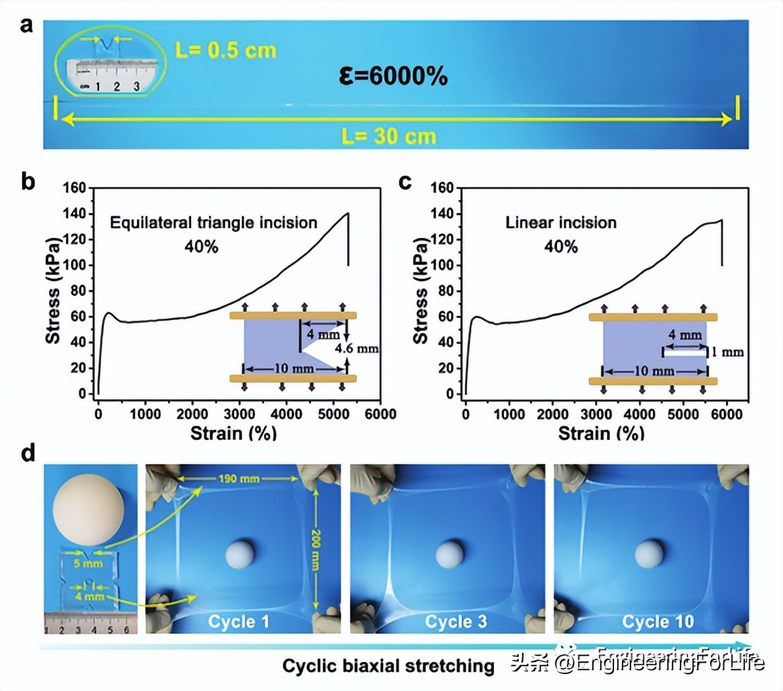 afm在纳米材料上的应用,afm有何应用