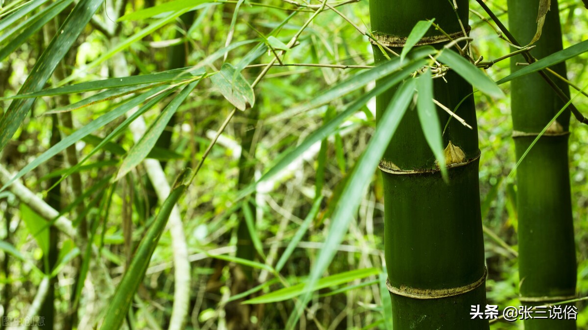 俗语说三更不贪食,俗语三事不做