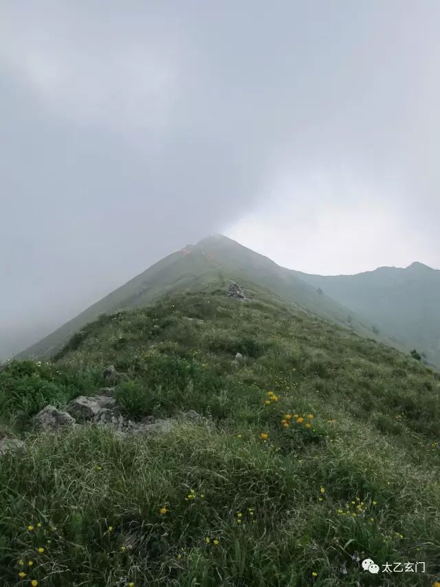 小五台山金莲花坡,小五台金莲花