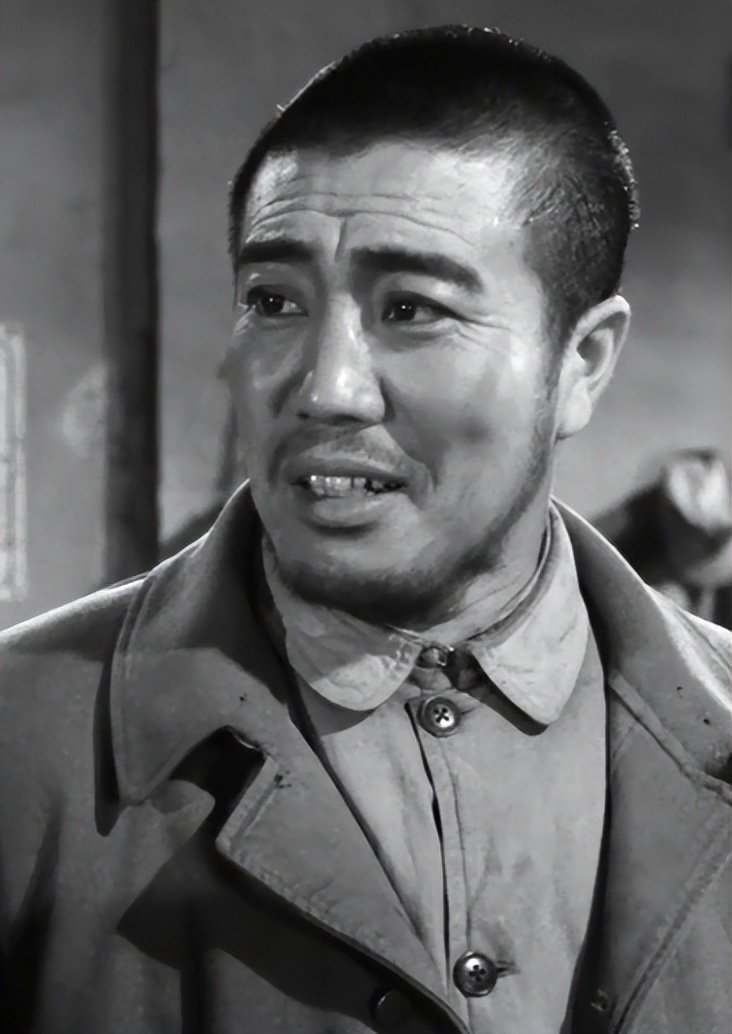 关于革命的小说红日简介,长篇小说红日沈振新的原型是谁