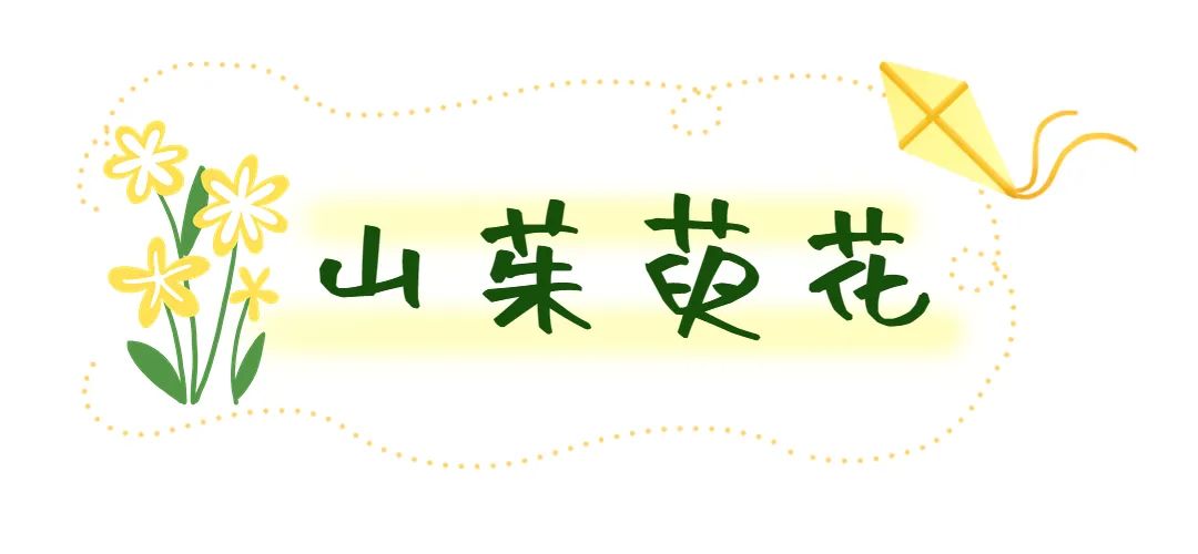 济南这个周末适合哪里赏花,济南春天赏花好去处