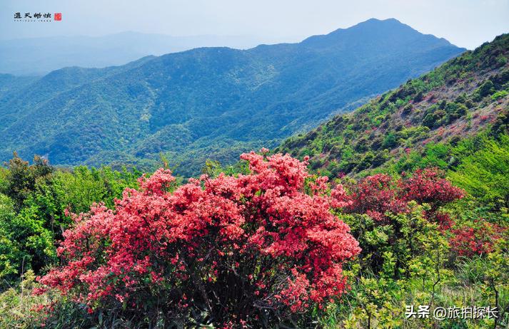 广州从化太平最高的山,从化最著名四座山峰