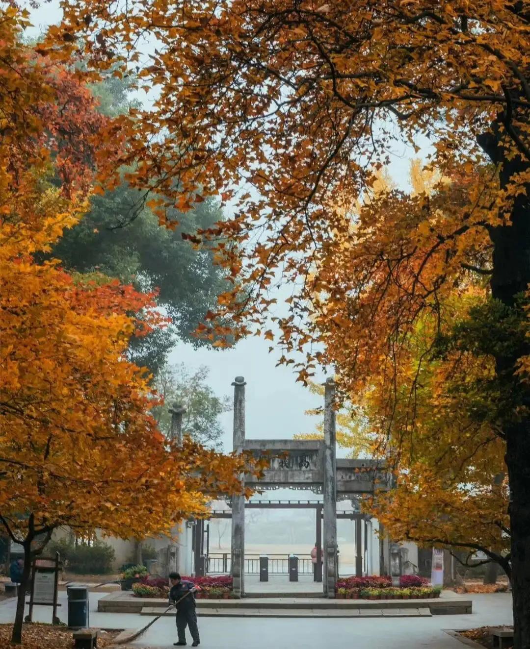 苏州秋季旅游最值得去的地方,苏州赏秋一日游攻略