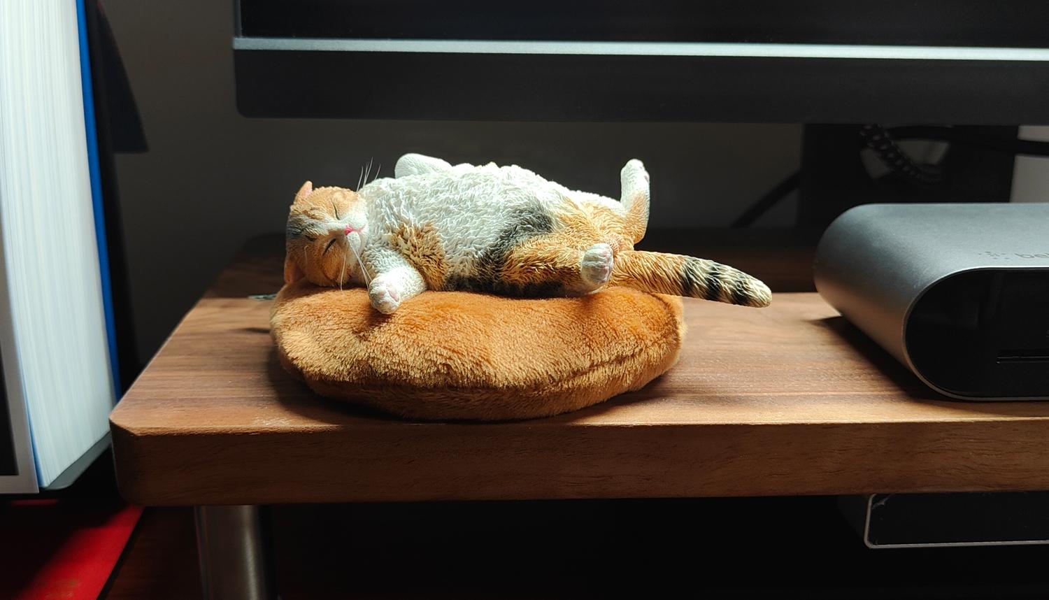 一个视频初学者的设备都有啥？2K显示器+存储工具+拓展坞+SD卡